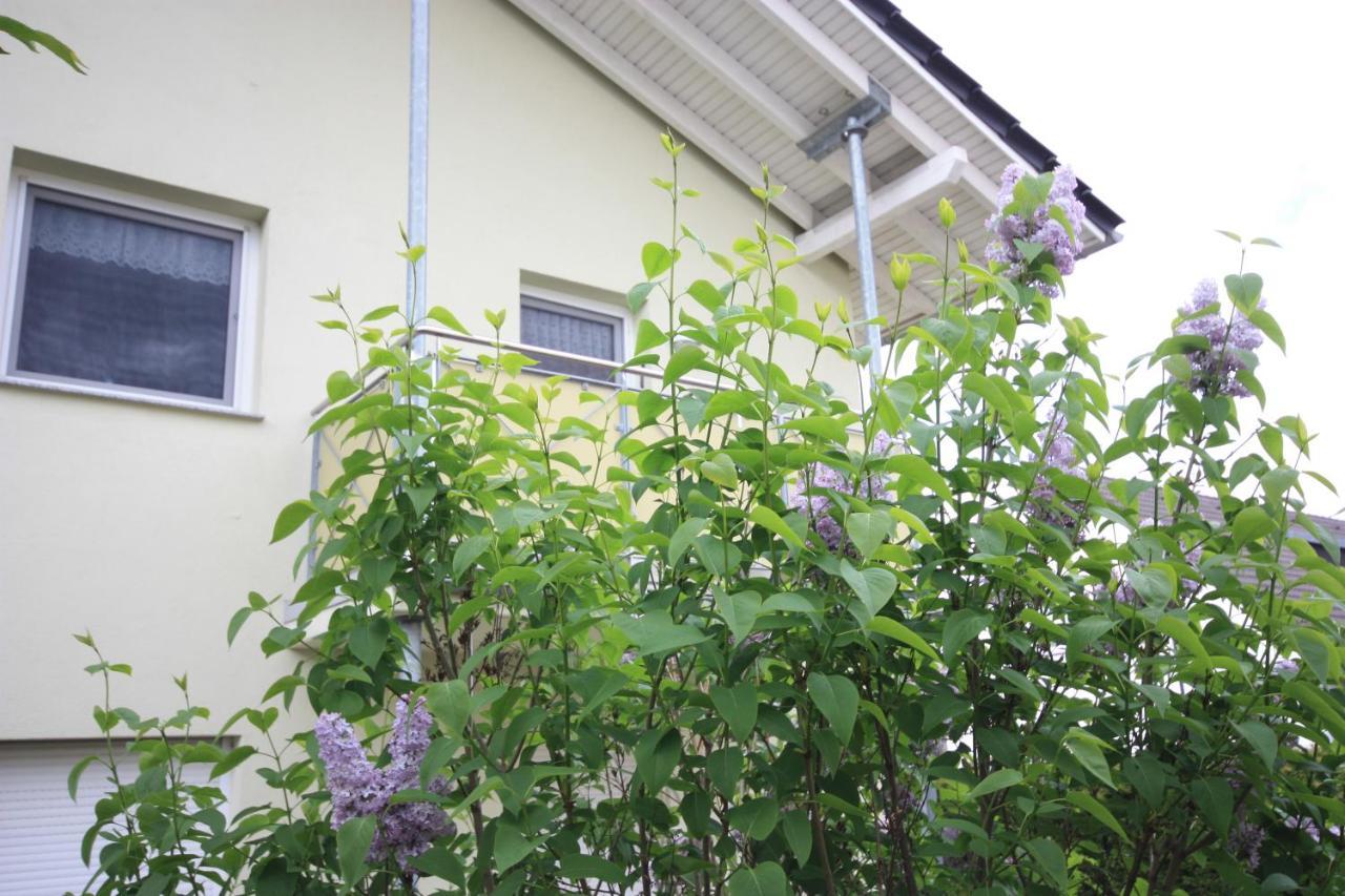 Windjammer Koserow ภายนอก รูปภาพ